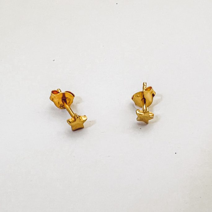 Clou d'oreille Star