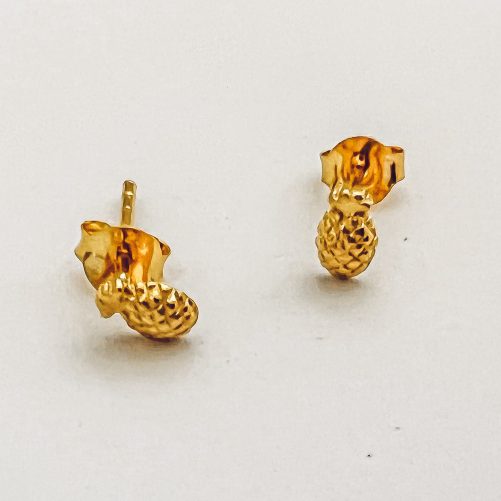 Clou d'oreille Pina