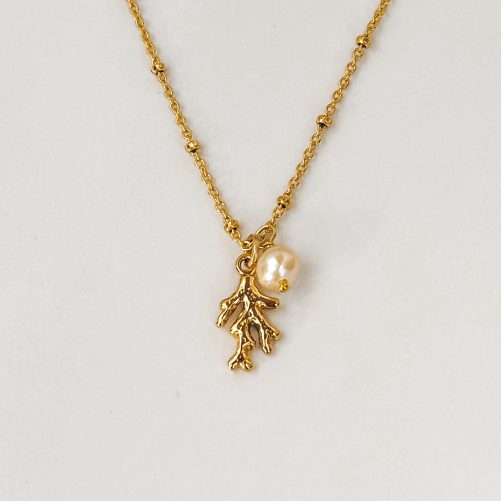 Collier Corail