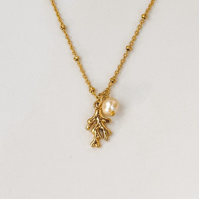 Collier Corail